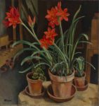 allinson-amaryllis